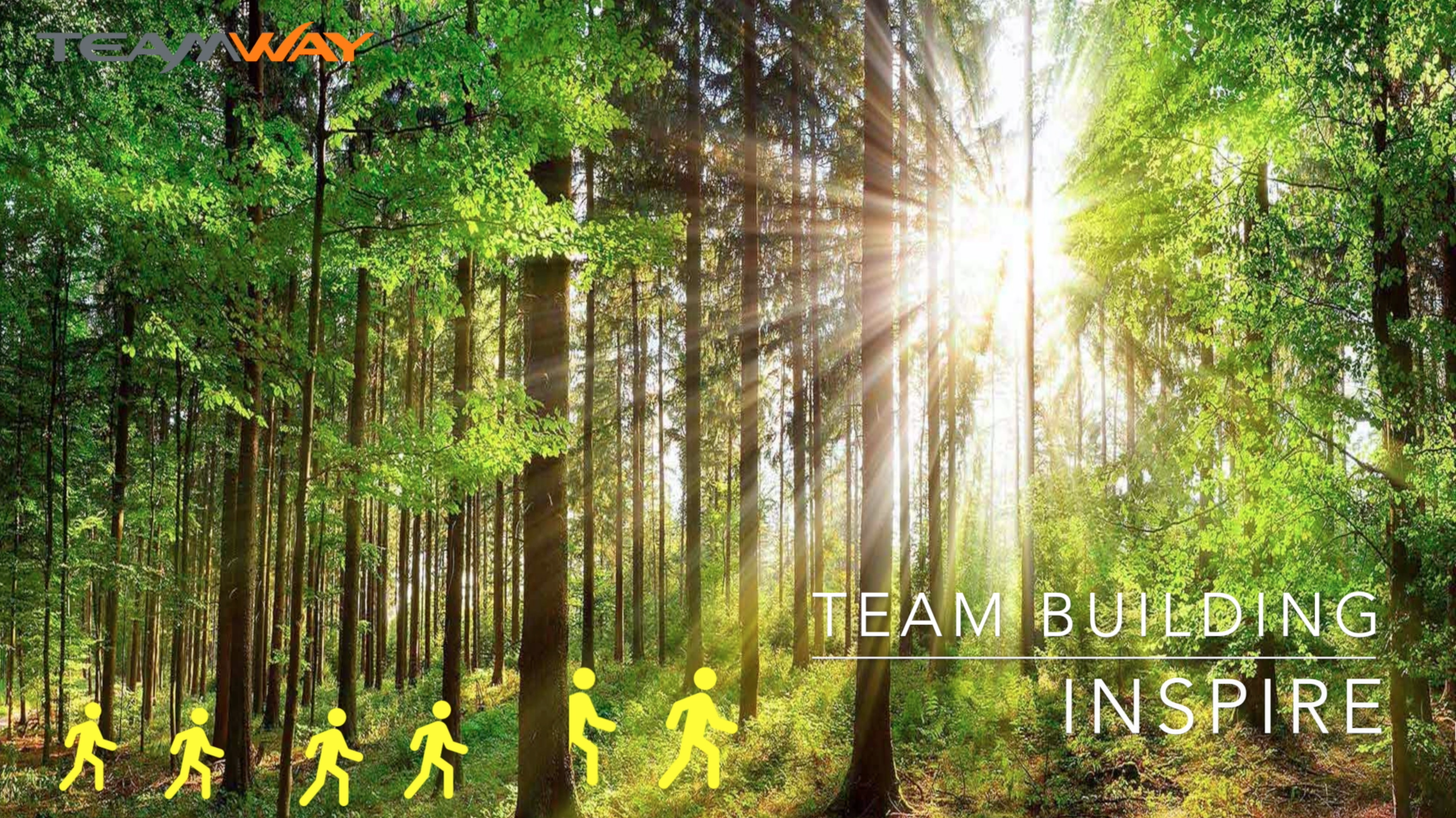 teambuilding - Teamway