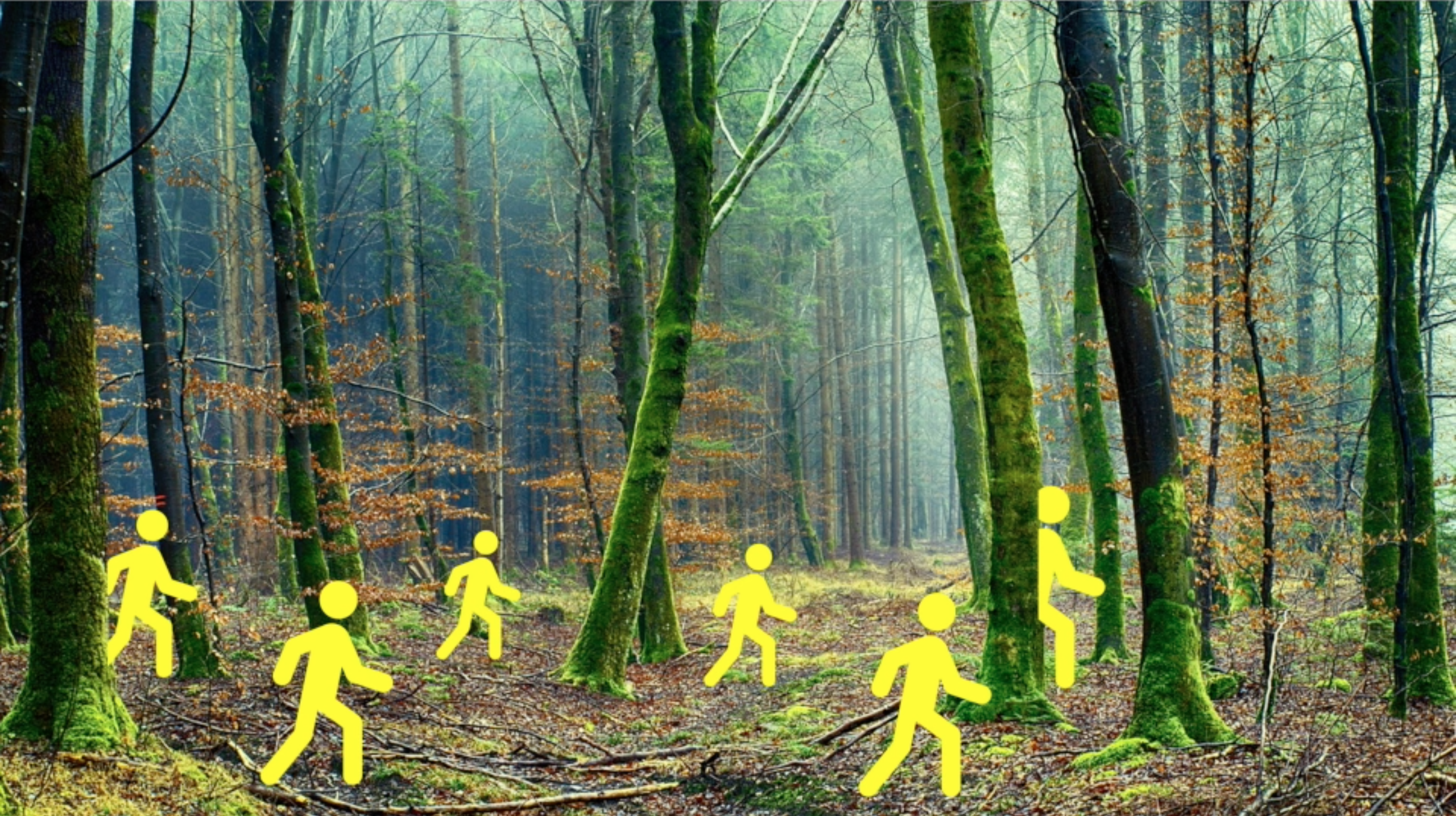 teambuilding - Teamway